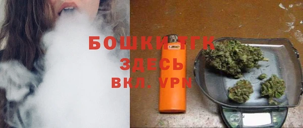 твердый Заводоуковск