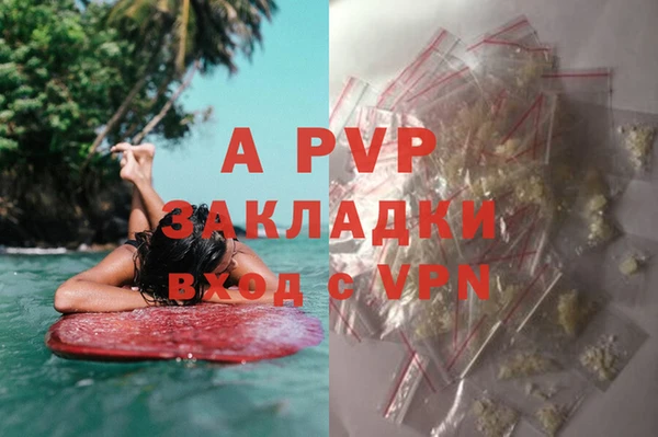 ГАЛЛЮЦИНОГЕННЫЕ ГРИБЫ Зеленодольск