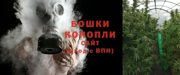 ГАЛЛЮЦИНОГЕННЫЕ ГРИБЫ Зеленодольск